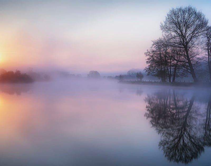 Sunrise over a foggy lake and tree silhouettes
