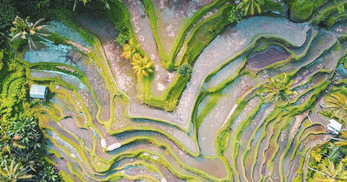 Asia Strategic Interest Bond Strategy: A Higher‑Quality Approach to Harnessing Yield in Asia