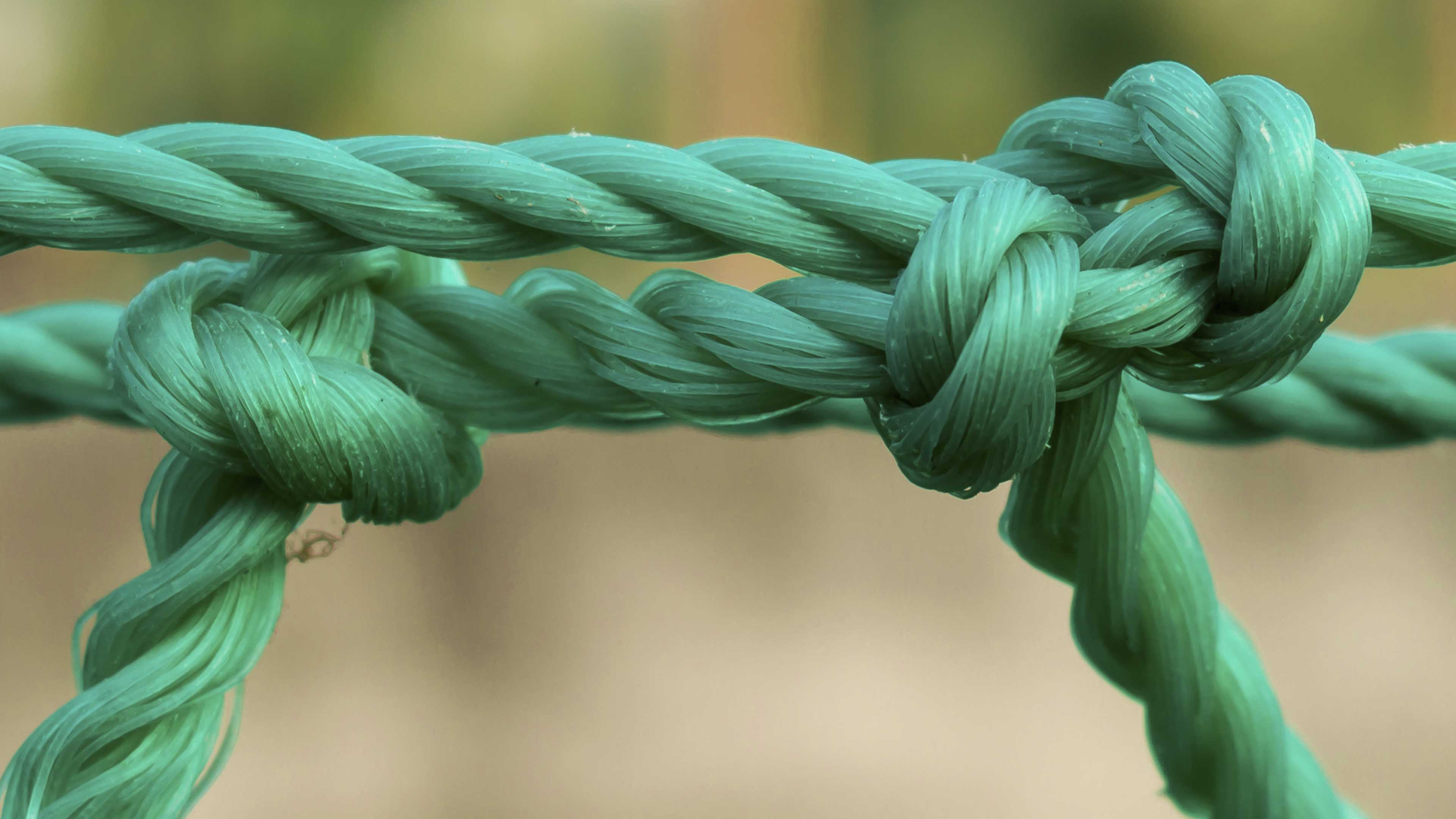 Cyclical Outlook Key Takeaways: Fractured Markets, Strong Bonds