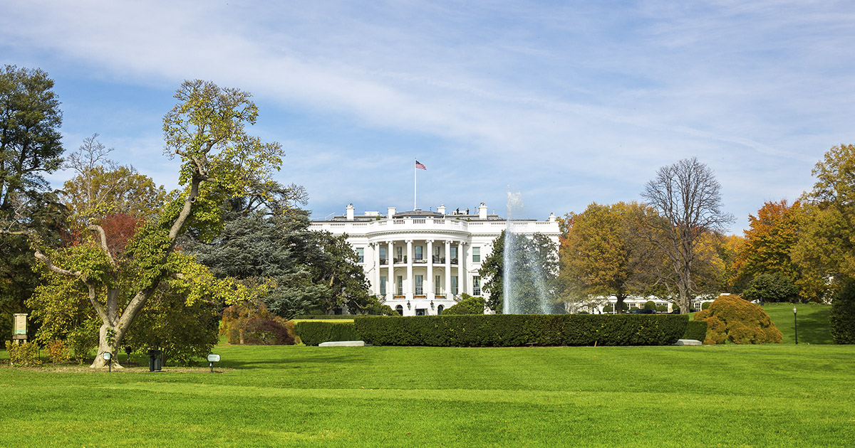 Major Shakeup in U.S. Election Diminishes Odds of a Republican Sweep