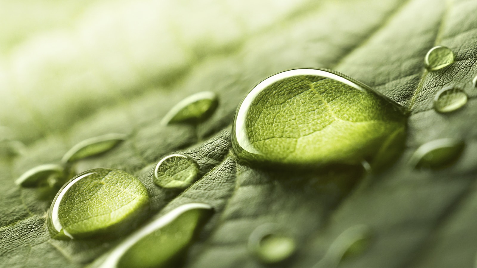 Sustainable Investing: Understanding ESG in Bonds