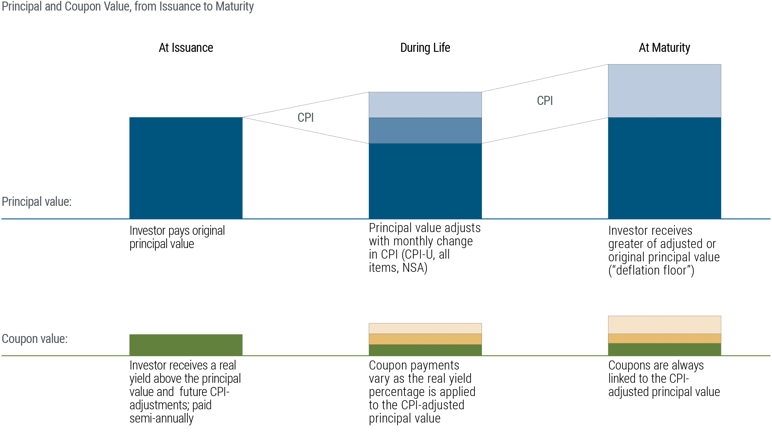 This graphic explains how Inflation-Linked Bonds (ILBs) can grow in value over time, focusing on the principal value and coupon value at different stages: at issuance, during life, and at maturity.   The graphic uses a combination of colored bars and gray lines to represent changes in principal and coupon values across the lifetime of the securities, with CPI adjustments illustrated as shaded areas above the initial principal.   The upper part of the graphic depicts lifetime changes in principal value, while the lower part of the graphic depicts lifetime changes in coupon value.   1. Lifetime of principal value:  - At Issuance: Investor pays original principal value.  - During Life: Principal value adjusts with monthly change in CPI (CPI-U, all items, NSA).  - At Maturity: Investor receives the greater of the adjusted or original principal value (referred to as the "deflation floor").  2. Lifetime of coupon value:  - At Issuance: Investor receives a real yield above the principal value and future CPI adjustments; paid semi-annually.  - During Life: Coupon payments vary as the real yield percentage is applied to the CPI-adjusted principal value.  - At Maturity: Coupons are always linked to the CPI-adjusted principal value.  The source of the data is PIMCO, and the graphic is labeled for illustrative purposes only.   Regarding acronyms:   NSA stands for non-seasonally adjusted.   CPI is an abbreviation for Consumer Price Index, a common and universally-respected inflation measure.