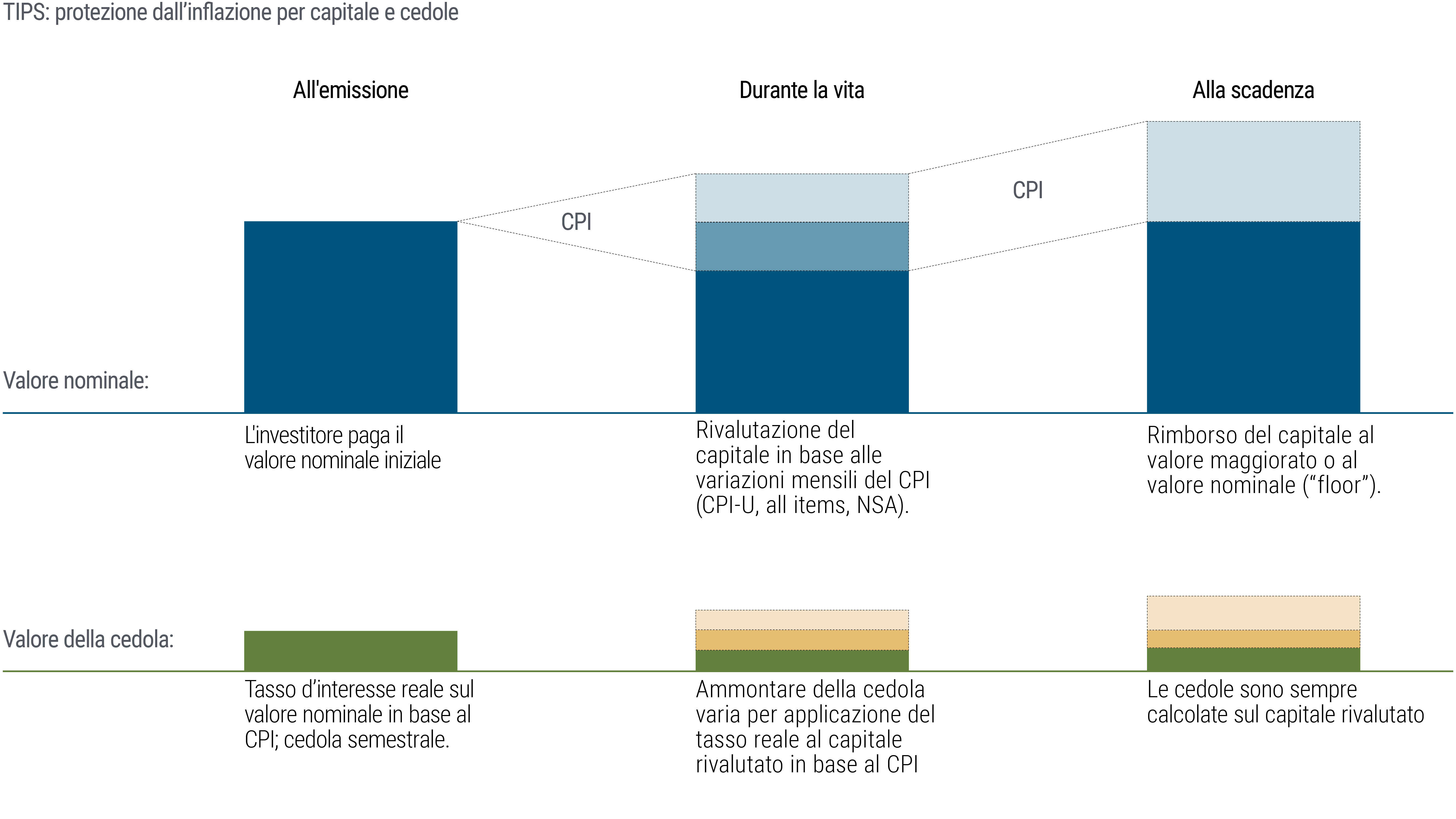 Il grafico illustra la rivalutazione nel tempo delle cedole e del capitale delle obbligazioni indicizzate all’inflazione, con spiegazioni relative alle diverse fasi: all’emissione, durante l’investimento e alla scadenza.   Il grafico usa diversi colori e linee grigie per evidenziare come cambiano i valori delle cedole e del capitale nel corso della vita dell’obbligazione mentre gli adeguamenti in base al CPI sono indicati dalle aree ombreggiate al di sopra del capitale iniziale.   Nella parte superiore del grafico viene illustrata la rivalutazione del capitale nel corso della vita dell’obbligazione mentre nella parte inferiore la rivalutazione delle cedole.   1. Valore del Capitale: - All’emissione: L’investitore acquista al valore nominale.  - Durante l’investimento: Rivalutazione del capitale in base alle variazioni mensili del CPI (CPI-U, all items, NSA).  - Alla scadenza: Rimborso del capitale al valore maggiorato o al valore nominale (“floor” in caso di deflazione).  2. Valore delle Cedole: - All’emissione: Tasso d’interesse reale sul valore nominale in base al CPI; cedola semestrale.  - Durante l’investimento: l’ammontare della cedola varia per l’applicazione del tasso reale al valore del capitale rivalutato in base al CPI.  - Alla scadenza: Le cedole sono sempre calcolate sul capitale rivalutato in base al CPI.  La fonte dei dati è PIMCO e la nota in calce specifica che il grafico è riportato a scopo puramente illustrativo.   Acronimi: NSA significa ‘non destagionalizzato’.   CPI è l’acronimo di Consumer Price Index (indice dei prezzi al consumo), indice comune e universalmente riconosciuto come misura dell’inflazione.