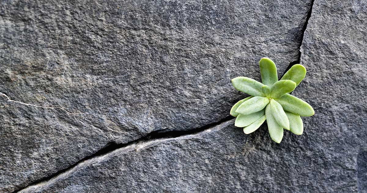 Prevailing Under Pressure