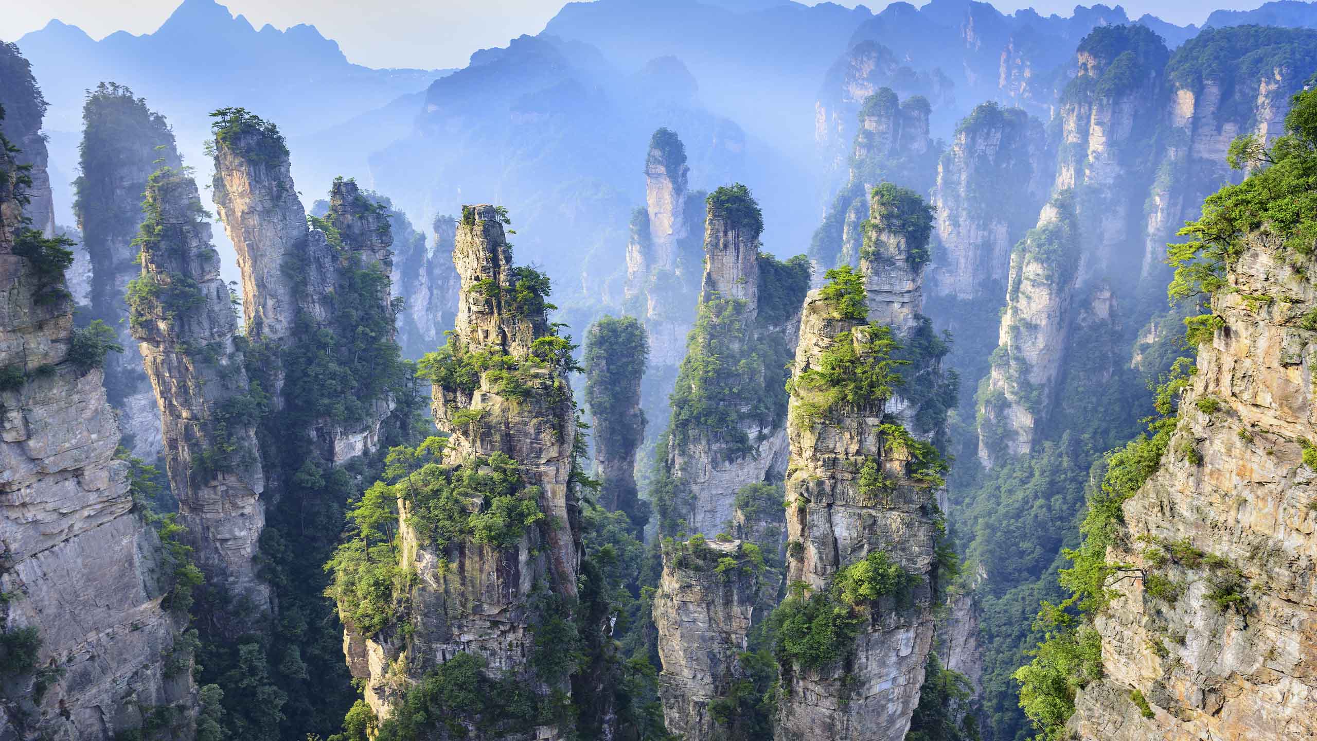 APAC Market Outlook 2025: Global Influences, Regional Opportunities