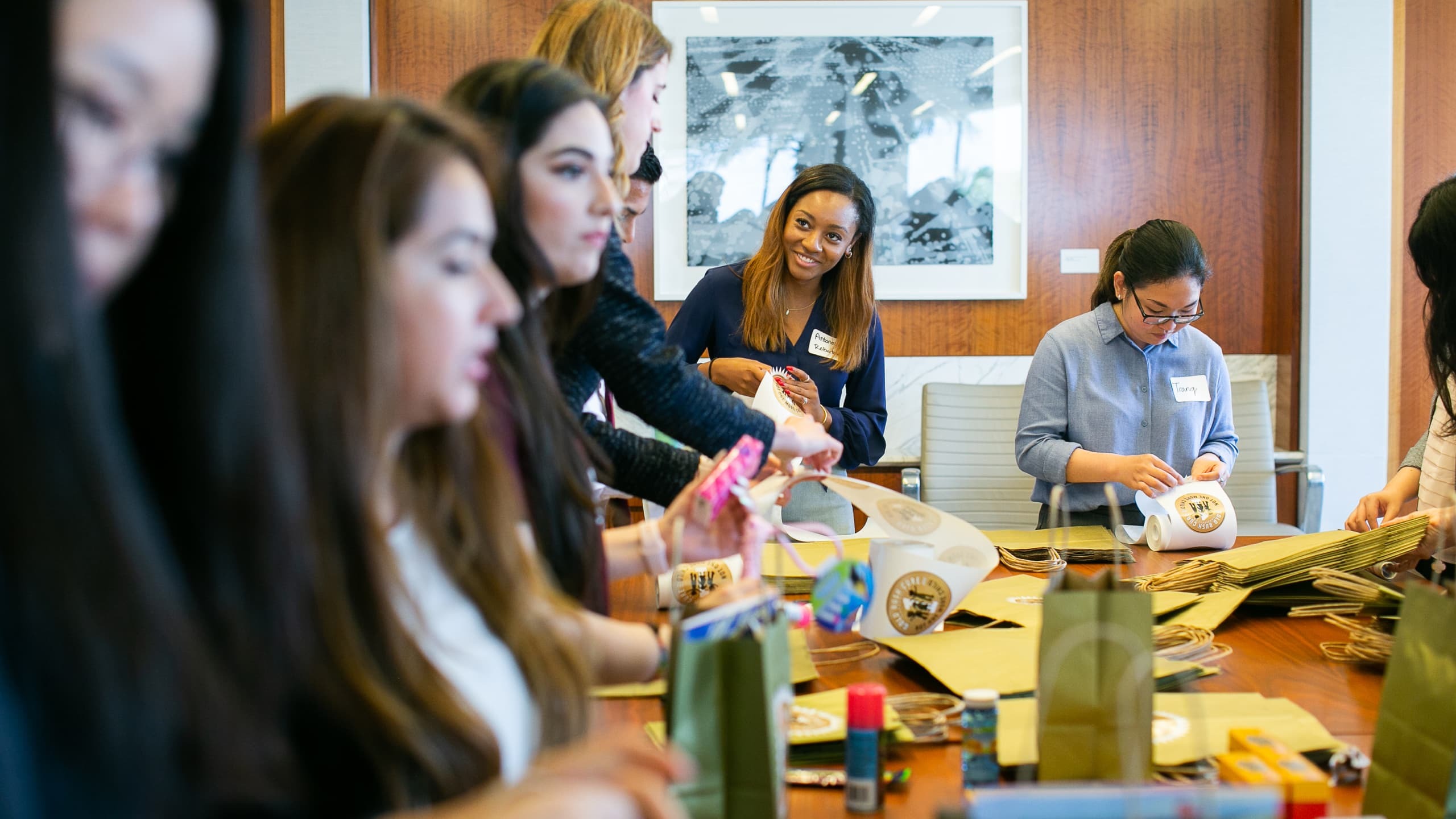 Board Placement Program