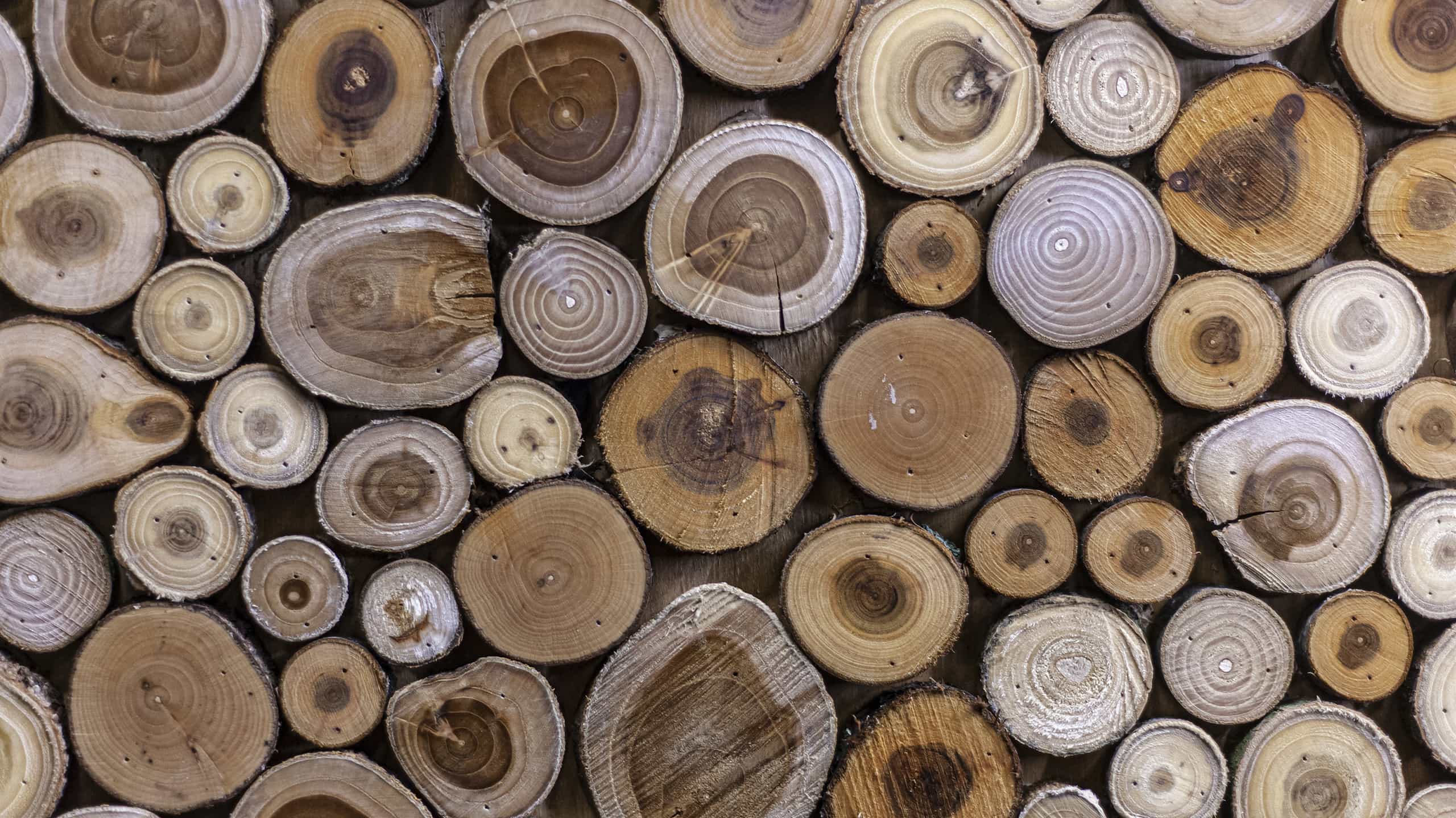 Asset-Based Finance: Quantifying Diversification Benefits and Return Potential