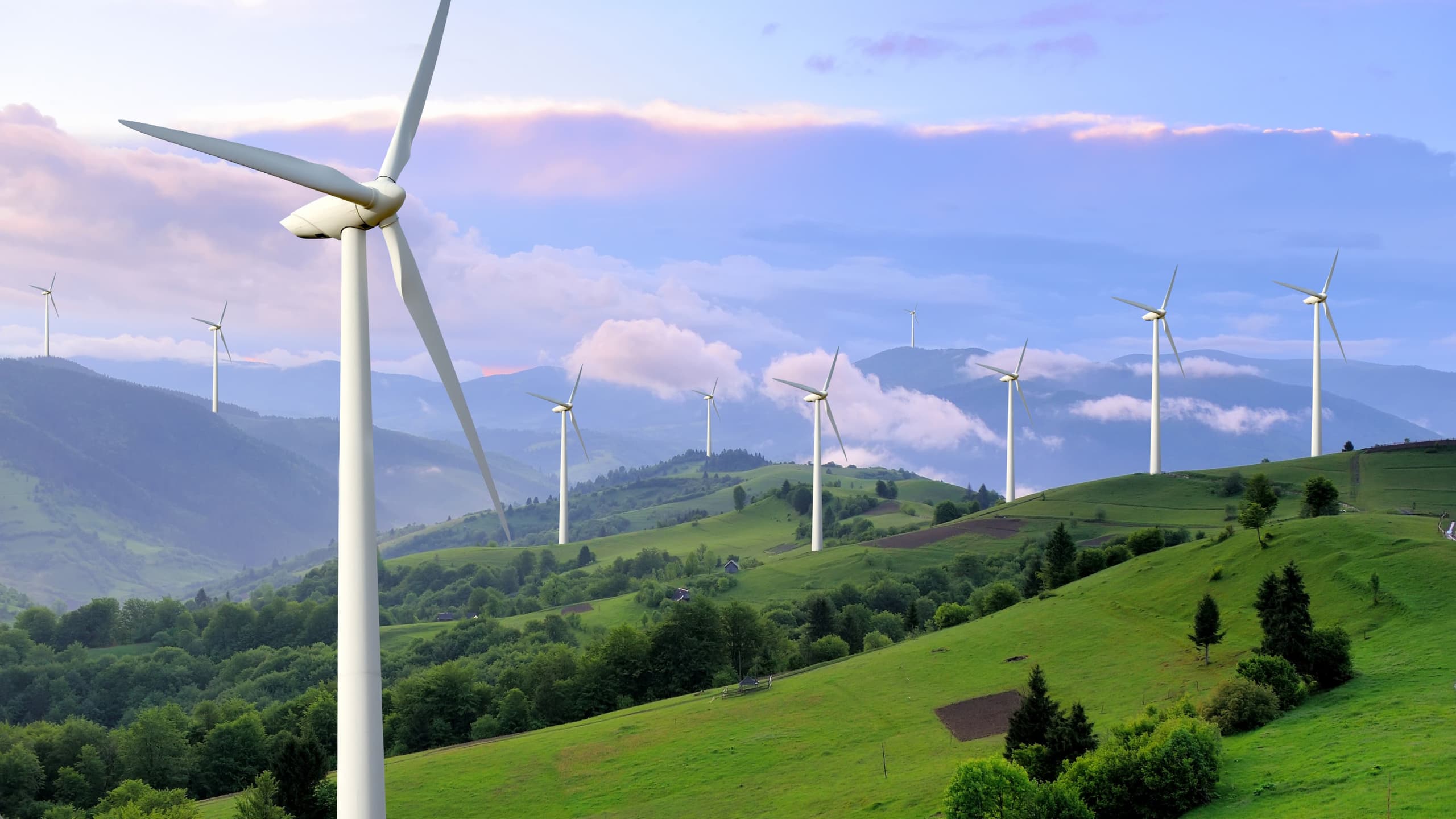 Annual ESG Investing Report