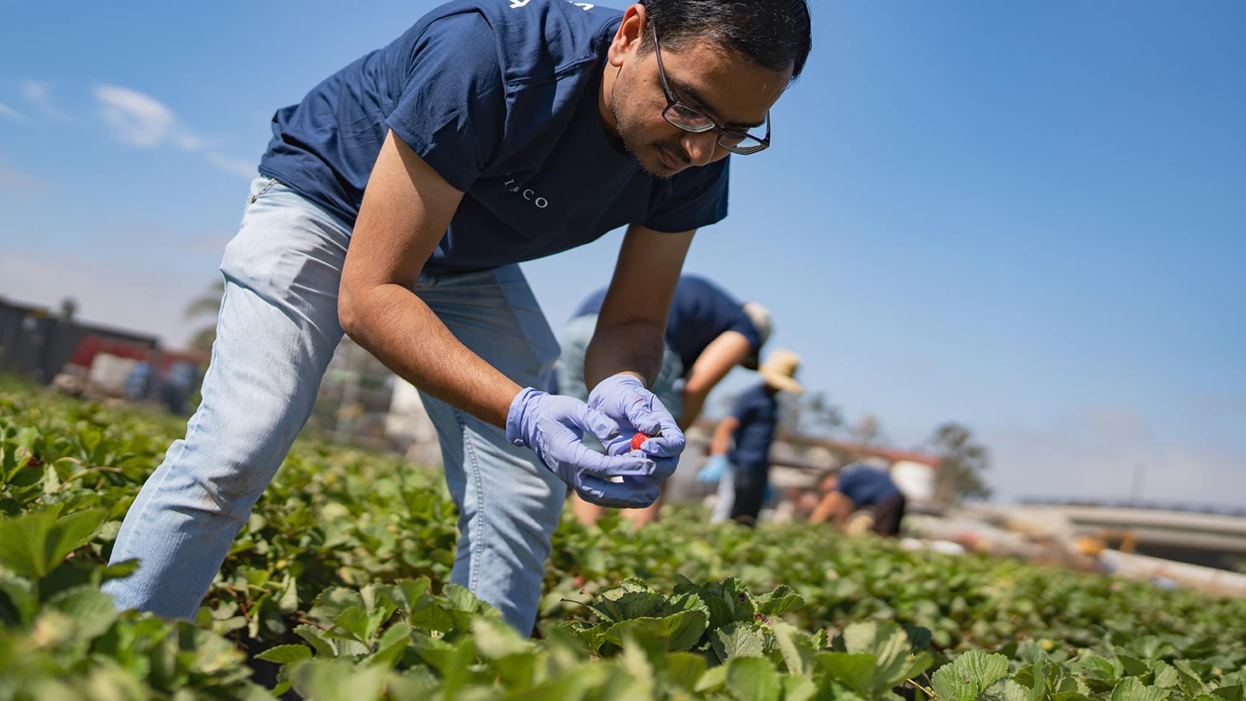 Global Month of Volunteering