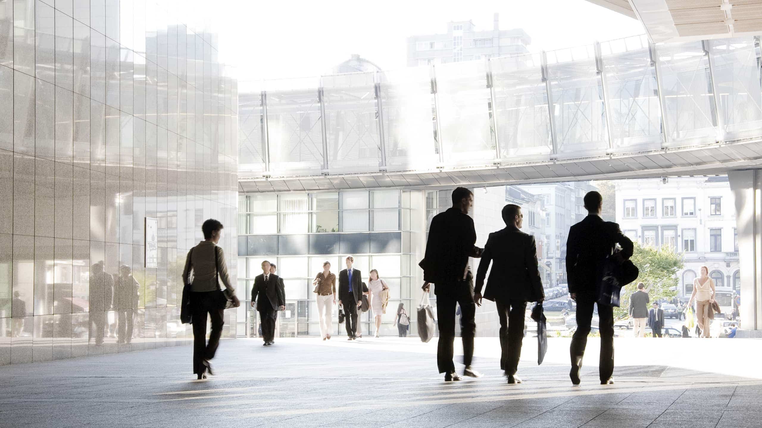 U.S. Employment Volatility Masks Structural Shift